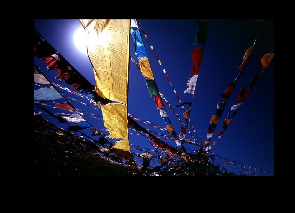 d8776f42-b5c8-421c-be73-36ce62f910f6